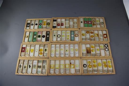 A collection of 19th century and later microscope slides,